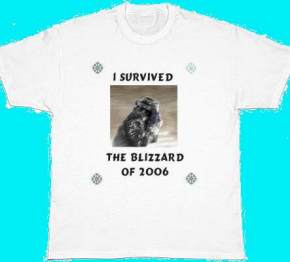 I survived the blizzard of 2006