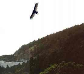 Beechey Head - Strait of Juan de Fuca