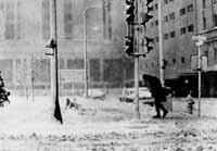 Blizzard Winds 