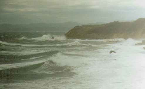 Gales whip waves on Juan de Fuca