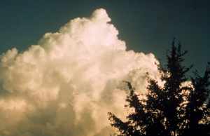 Cumulus Congestus