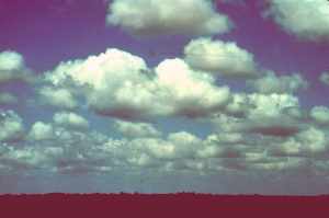 cumulus humilis