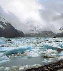 Alaskan Coastal Glaciers