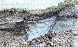 Permafrost ice wedge