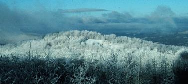 Frosted landscape