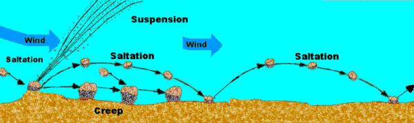 Aeolian Transport Processes