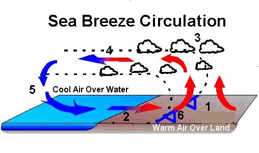 sea breeze circulation