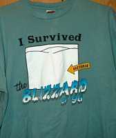 Victoria's Blizzard of 96 Tee Shirt