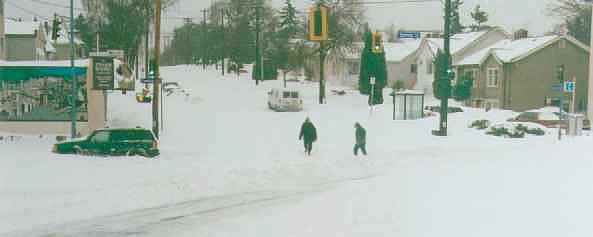 Victoria's Blizzard of 96