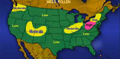 Map of Weed Pollen Counts