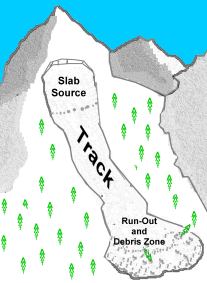 Structure of an Avalanche