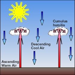 Cumulus humilis form from thermals