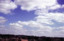 Cumulus humilis