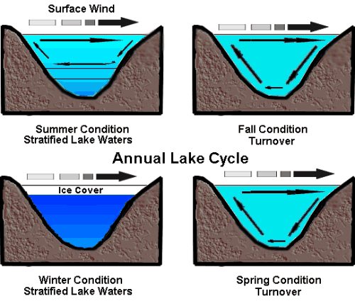 Seasonal Lake Cycles
