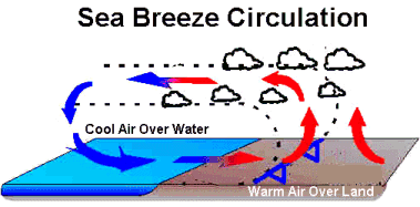 Sea Breeze Circulation