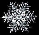 snow crystal