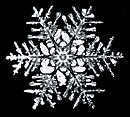 snowflake