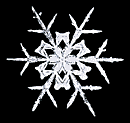 snow crystal - 2