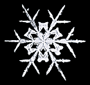 snowflake