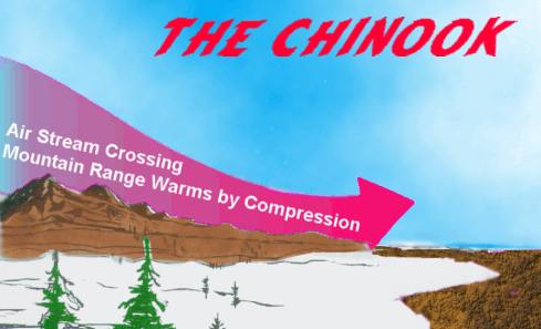 Solved Warm winds called Chinooks (a native-American term