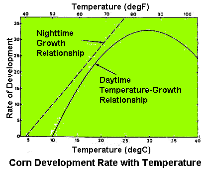 Corn Growth with Temperature