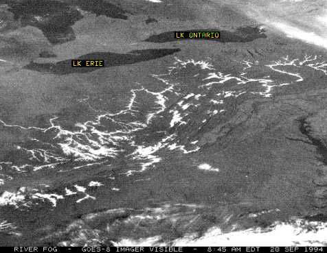 GOES 8 Image - Valley Fog