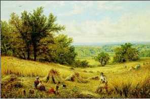 Haymaking