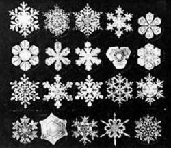 Snow Crystals photographed by Wilson A. Bentley