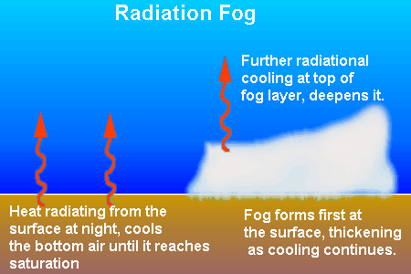 Radiation Fog Formation