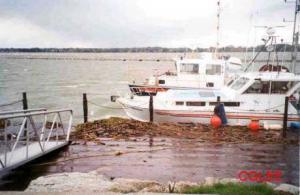 Seiche debris, Buffalo, NY