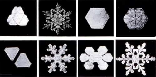 Snow Crystals photographed by Wilson A. Bentley