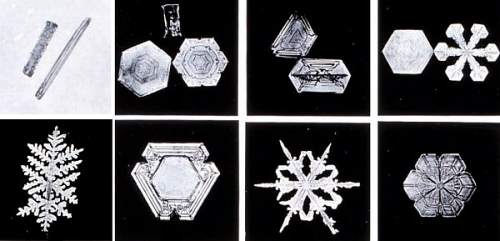 Snow Crystals photographed by Wilson A. Bentley