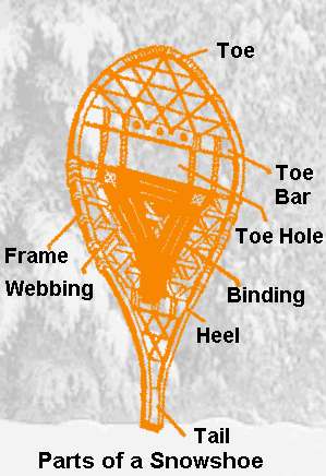 Parts of a Snowshoe