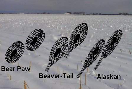 Basic Snowshoe Types