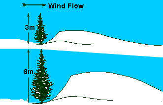 Impact of trees on snowdrift formation