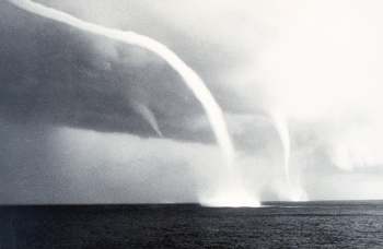 waterspout family